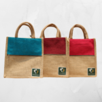 EcoTiffin Carry Bag - Image 17