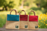 EcoTiffin Carry Bag - Image 9